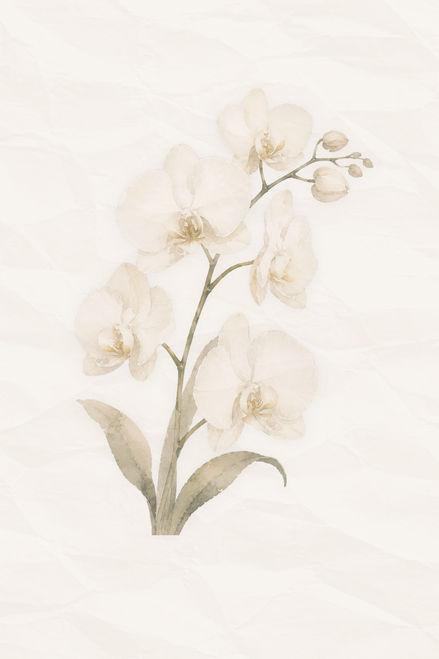 Morning Quiet | Neutral Orchid Wall Art | Printable Botanical Art